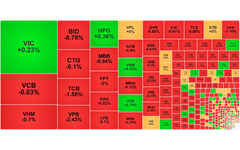 Chứng khoán ngày 19/11: VN-Index 'quay đầu' giảm gần 11 điểm