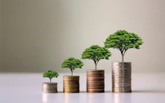 Loạt doanh nghiệp chốt quyền trả cổ tức trong tuần từ 3/11-7/11