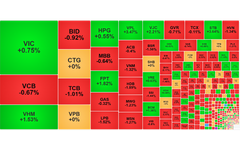 Chứng khoán ngày 21/11: Khối ngoại xả mạnh VIX, VN-Index giảm nhẹ