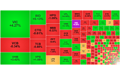 Chứng khoán ngày 24/11: Cổ phiếu Vingroup 'nâng đỡ' VN-Index