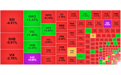 Chứng khoán ngày 25/11: VN-Index giảm trong phiên thanh khoản cải thiện