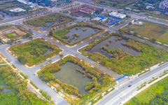 TP.HCM lên kế hoạch đấu giá 7 lô đất Khu đô thị mới Thủ Thiêm