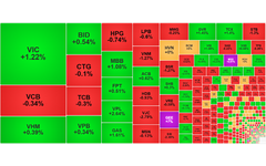 Chứng khoán ngày 27/11: VN-Index giữ sắc xanh dù thanh khoản suy yếu