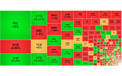 Chứng khoán ngày 28/11: Cổ phiếu họ Vingroup kéo VN-Index lên mốc 1.690 điểm