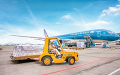 Dịch vụ Hàng hóa Nội Bài sắp chia cổ tức bằng tiền mặt tỷ lệ 80%