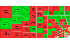 Chứng khoán ngày 5/11: Thanh khoản giảm, VN-Index tăng 2,91 điểm