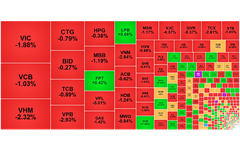 Chứng khoán ngày 11/12: VN-Index một lần nữa mất mốc 1.700 điểm