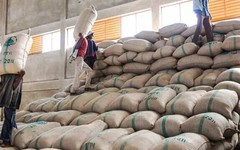 Hàng chục nghìn tấn hàng của Việt Nam được Nga đổ tiền mua với giá cực đắt: thuế nhập khẩu 0%, sản lượng hơn 1 triệu tấn/năm