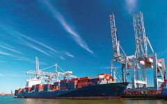 Vì sao phiên đấu giá hơn 19,6 triệu cổ phiếu SGP của VietinBank bị hủy?