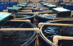 Không phải đất hiếm, Mỹ, Trung Quốc đang đua nhau săn lùng một ‘mỏ vàng’ của Việt Nam: Nước ta sở hữu công nghệ dẫn đầu thế giới, thu về hơn 4,3 tỷ USD