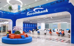 'Cá mập' Pyn Elite Fund giảm sở hữu tại Sacombank, tăng nắm giữ tại MB