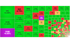 Chứng khoán ngày 19/12: Cổ phiếu họ Vingroup dẫn dắt, VN-Index trở lại mốc 1.700 điểm