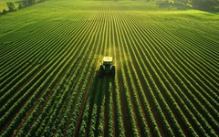 Quy mô vốn hàng trăm tỷ đồng, Agronexus Capital vẫn chậm đóng bảo hiểm