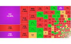 Chứng khoán ngày 23/12: VN-Index đạt ngưỡng 1.772 điểm nhờ cổ phiếu 'họ' Vin