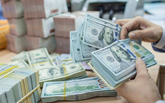 Vingroup nêu kiến nghị sử dụng vốn vay nước ngoài trong thời gian tạm thời 'nhàn rỗi', NHNN nói gì?