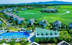 Cổ đông lớn của TIG 'xả hàng' 4 triệu cổ phiếu