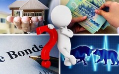 Đầu năm 2026, nên đổ tiền vào vàng, tiết kiệm hay chứng khoán?