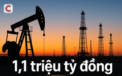 Một doanh nghiệp Việt lập kỷ lục chưa từng có: Doanh thu 1,1 triệu tỷ đồng, tương đương 9-10% GDP