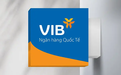 Một số tồn tại, hạn chế trong hoạt động cấp tín dụng tại VIB Vũng Tàu