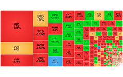 Chứng khoán ngày 26/12: VN-Index thu hẹp đà giảm nhờ lực 'bắt đáy'