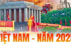 Việt Nam - năm 2025