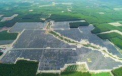 Năng lượng tái tạo Sơn Mỹ tất toán 2 lô trái phiếu trước hạn