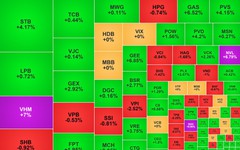 Chứng khoán ngày 29/12: Nhóm Vingroup hồi phục mạnh, VN-Index tăng 25 điểm