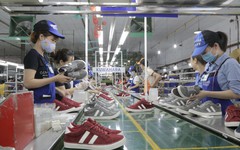 Cổ phiếu GTD tăng trần 11 phiên liên tiếp, Giầy Thượng Đình nói gì?