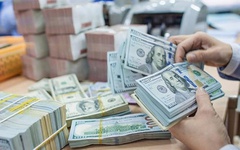 Cá nhân mua, bán ngoại tệ với nhau từ 1.000 USD sẽ bị tịch thu số tiền, phạt tới 100 triệu đồng