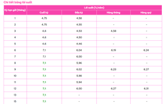 Một ngân hàng trả lãi suất tiết kiệm 8,1%/năm cho kỳ hạn 6 tháng với số tiền gửi từ 1 tỷ đồng