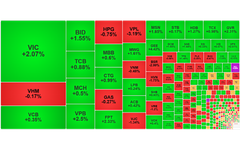 Chứng khoán ngày 30/12: Khối ngoại mua ròng gần 1.000 tỷ đồng, VN-Index tiếp đà hồi phục