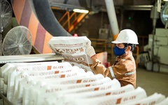 Vicem Hà Tiên bị phạt và truy thu thuế hơn 2,6 tỷ đồng