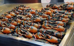 Kho báu dưới nước của Việt Nam 'bơi' sang Mỹ, Nhật Bản siêu đắt hàng: xuất khẩu tăng khủng hơn 600%, chất lượng vượt trội hàng đầu thế giới