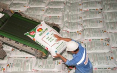 Đạm Cà Mau tăng mục tiêu lợi nhuận năm 2025 lên 1.448 tỷ đồng