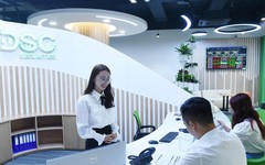 DSC báo lợi nhuận quý I/2025 'đi lùi', Chủ tịch Nguyễn Đức Anh nhận lương bao nhiêu?