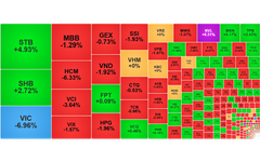 Chứng khoán ngày 21/4: NVL bất ngờ 'tím trần', VN-Index giảm 12 điểm