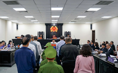 Tuyên án nhóm cựu lãnh đạo Tổng Công ty Chè Việt Nam