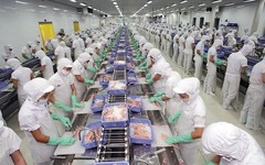 Vĩnh Hoàn hạ mục tiêu lợi nhuận công ty mẹ năm 2025