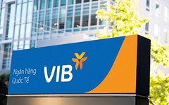Nợ có khả năng mất vốn chiếm quá nửa tổng nợ xấu của VIB