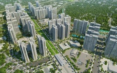 Bất động sản TCO báo lãi ròng năm 2024 đạt gần 77 tỷ đồng