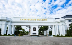 Chủ đầu tư dự án La Saveur De Hòa Bình nợ thuế gần 849 tỷ đồng