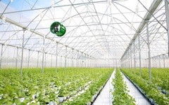 Công ty con của Tập đoàn Pan: Nợ vay ngân hàng tăng đột biến, mang 4.000 tỷ đồng chứng chỉ tiền gửi thế chấp tại VietcomBank