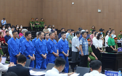 Khai thác trái phép đất hiếm, Chủ tịch Công ty Thái Dương lĩnh án 14 năm 6 tháng tù cho 3 tội danh