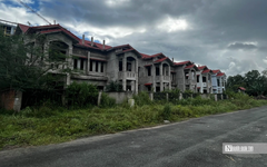 Nghiên cứu đánh thuế đất bỏ hoang, dự án bất động sản chậm triển khai