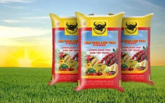 Phân bón Bình Điền sắp chi gần 143 tỷ đồng trả cổ tức cho cổ đông