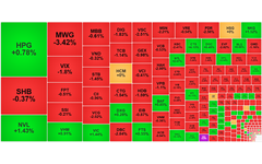 Chứng khoán ngày 30/5: Khối ngoại bán ròng trên 1.000 tỷ đồng, VN-Index giảm 9 điểm