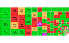 Chứng khoán ngày 7/5: Nhóm bất động sản 'kéo' VN-Index lên ngưỡng 1.250 điểm