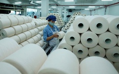 Lãnh đạo Sợi Thế Kỷ bán toàn bộ gần 6,9 triệu cổ phiếu STK đang nắm giữ