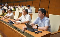 Công chức, viên chức không được thành lập, góp vốn và quản lý doanh nghiệp