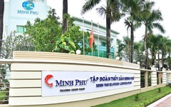 Thủy sản Minh Phú kỳ vọng có lãi trở lại trong năm 2025, con gái Chủ tịch được đề cử vào HĐQT